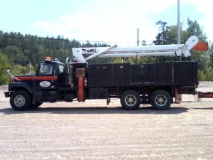 International 4900 #6